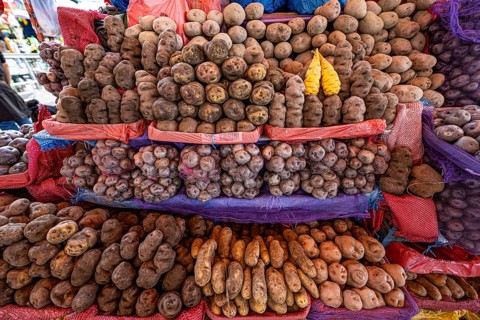 Different types of potatoes at a sales stand in a market hall, Arequipa, southern Peru, Peru, South