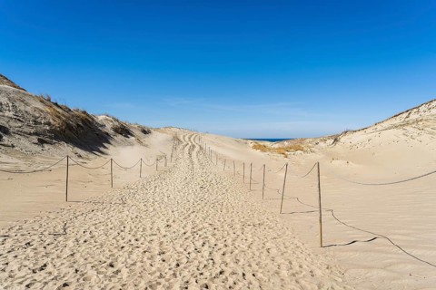 The Gray Dunes, or the Dead Dunes is sandy hills with a bit of green specks at the Lithuanian side