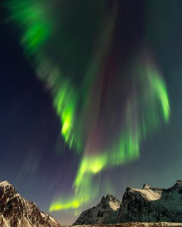 Aurora over the mountains and sea of Lofoten, Northern Lights, Northern Lights, Landscape, Leknes,