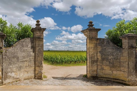 Entrance gate to a vineyard near Saint Emillion, Gironde, France