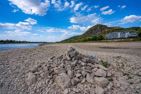 Low water in the Rhine, dry riverbed, sandbanks, on the right bank of the Rhine near Bad Honnef,