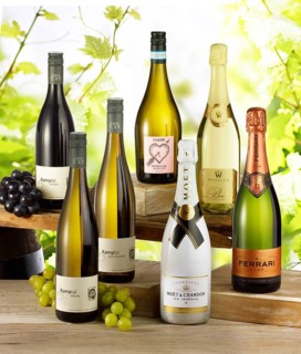 Several bottles of white wine and champagne on wooden boards in front of grapevines