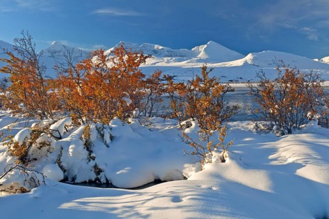 View from Döralen valley to Högronden, Midtronden and Digerronden peaks, Rondane National Park,