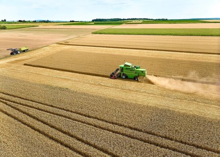 Aireal photo of a combine harvester harvesting wheat on a field in the vertile and fruitful of