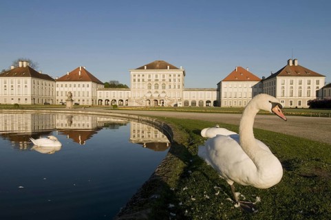 Europe Germany Munich Bavaria Nymphenburg Palace Park Park Swan Swans Historic Historic Historic