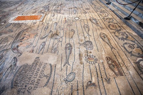 Detailed floor mosaic depicting marine animals and humans, Basilica di Santa Maria Assunta,