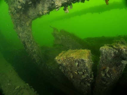 Underwater view of an old shipwreck overgrown by algae with a green glow, Margareta af Vätö dive