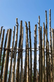 Wooden stockade fence made of tall cut tree trunks of various lengths and size attached and tied