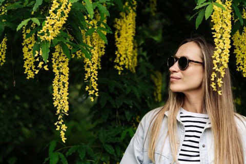 A woman admires the flowering clusters of Laburnum anagyroides walking in the spring in the park, A