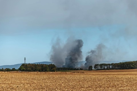 Forest fire in the Föhrenwald on August 14, 2026, Lower Austria, Austria