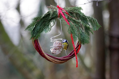 Christmas, decoration, bird food, blue tit, atmospheric