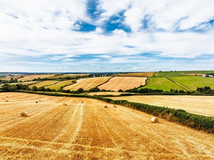 Cornwall Fields and Farms from a drone, Polruan, Cornwall, England, United Kingdom