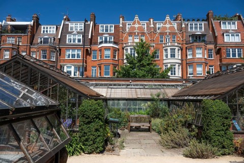 Victorian townhouses on Royal Hospital Road, historic greenhouses, Chelsea Physic Garden, historic