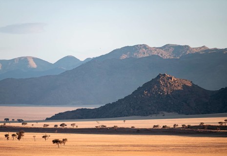 Evening, dry landscape in the NamibRand Nature Reserve, Naukluft Mountains behind, Namib Desert,