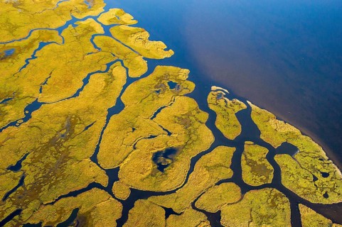 Aerial view of the landscape on the Großer Kirr in the Vorpommersche Boddenlandschaft National
