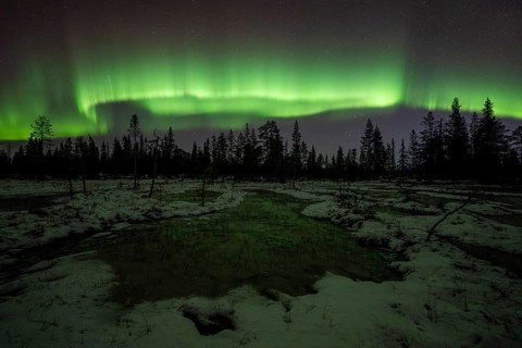 Northern Lights (Aurora borealis), Muddus National Park, Laponia World Heritage Site, Norrbotten,