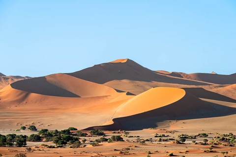 Red sand dunes, Sossusvlei region, Namib Desert, Namib-Naukluft National Park, Namibia