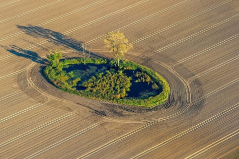 Sölle in a field landscape, Barhöft, Mecklenburg-Western Pomerania, Germany