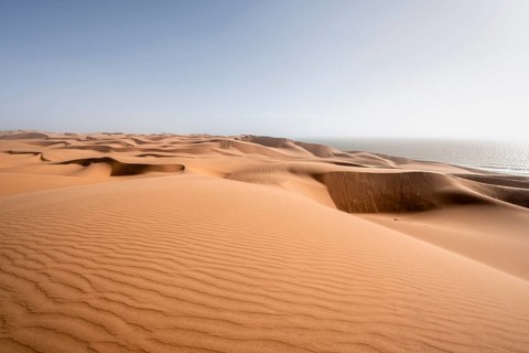 Sand dunes with wave patterns, dune sea, sandy desert, impressive desert landscape, Namib Naukluft