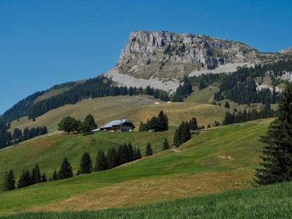 A traditional alpine hut building on green meadows at the foot of a distinctive mountain peak,