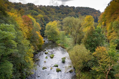 Germany, Greiz, Saxony, Weiße Elster, aerial view, autumn, Elstertal, autumn, landscape, aerial
