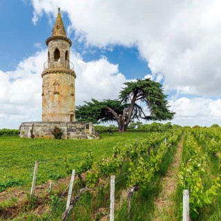 Viticulture on a historic winery in the north of the Mèdoc region, France