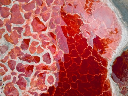 Aerial view of Ulan Lake, Red Lake, caused by microorganisms and algae such as Dunaliella salina,