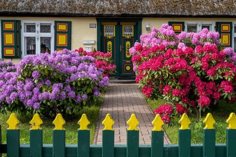Fisherman's house in Born am Darß, Fischland, Darß, Zingst, Born am Darß, Mecklenburg-Western