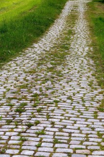 Grout, paving path, stone paving, paved path, high size, portrait format, path