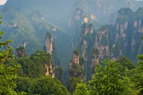Panoramic view of the quartz sandstone pillars of the Tianzi Mountains in Zhangjiajie National