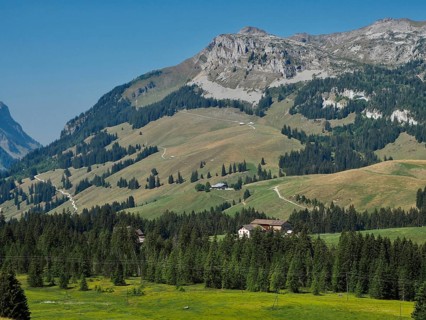 Alpine landscape with green meadows, mountains and forests under blue skies, UNESCO Entlebuch