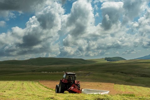 Farmer harvests hay in summer, Sancy Massif. Regional Natural Park of the Auvergne volcanoes, Puy