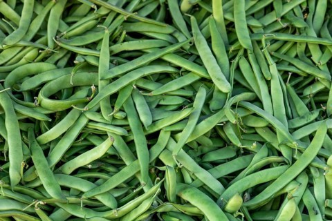 A heap of fresh green beans on display at a market