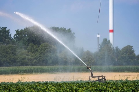 Artificial irrigation of a potato field with an irrigation system, long drought in summer makes