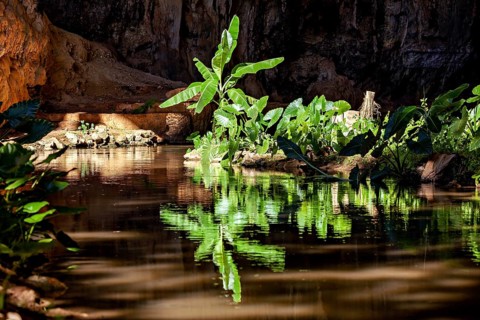 River with reflecting plants and rocks in a dark, mystical environment, The Gruta do Sumidouro in