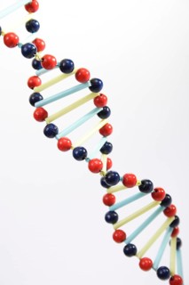 Symbolic image of DNA, genetic engineering, DNA strand, Vienna, Austria