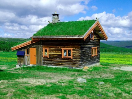 Geography, travel, grass roof, house, Uvdal, dandelion meadow, flowers, Norway. Geography, Travel,