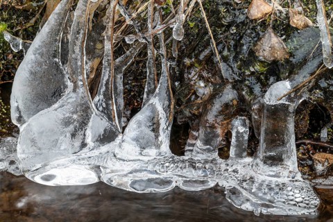 Ice formations on a stream, Dundret Nature Reserve, Gällivare, Norrbotten, Lapland, Sweden, October