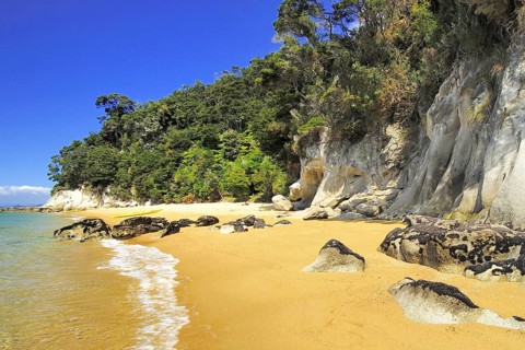 Sandy beach beach, Abel Tasman National Park, Tasman Sea, Nelson Region, South Island of New