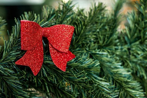 A close-up of a red glitter bow attached to green pine branches. The scene captures festive