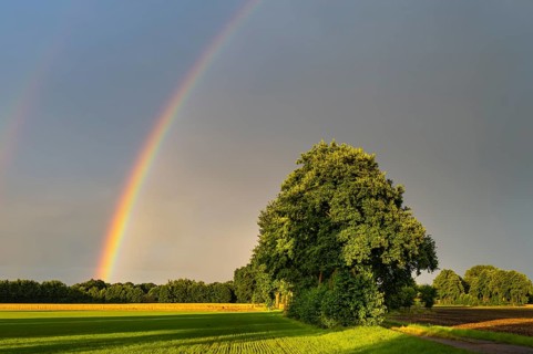 Rainbow over the Vechtär Marsch, Vechta, Lower Saxony, Germany