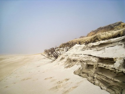 Demolition edge on a sand dune on the beach, erosion, beach oats and bundles of brushwood as