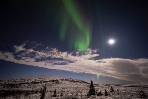 Northern Lights (Aurora borealis) and moonlight, Dundret Nature Reserve, Norrbotten, Lapland,