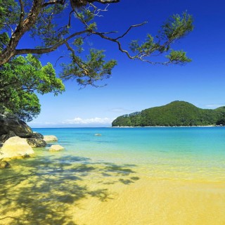 Bark Bay, Abel Tasman National Park, Tasman Sea, Nelson Region, South Island New Zealand