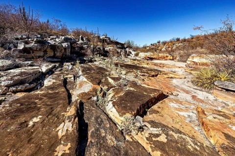 Rocky desert landscape with cacti and clear blue sky, rough and dry, The thornshrub savanna in the