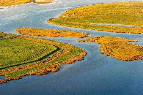 Bird watching Pramort near Zingst in the Western Pomeranian Lagoon Area National Park, Zingst,