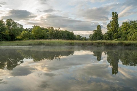There are trees near a pond. Her reflection can be seen in calm water. There are a few clouds in