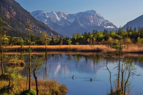 Moor area Seven springs with the Zugspitze group 2962m in spring, Eschenlohe, Loisachtal, The Blue
