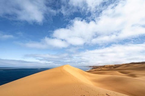 Sand dunes and sea, Atlantic coast and sandy desert with sea of dunes, Sandwich Harbour, Namib