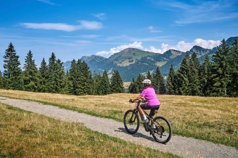 Active senior woman rides an e-mountain bike on a picturesque mountain trail under the Nagelfluh